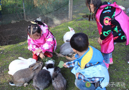 幼兒園親子活動活動