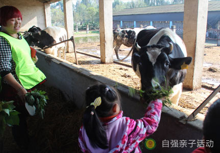 幼兒園親子活動活動