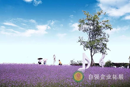 三圣鄉(xiāng)七彩田野基地