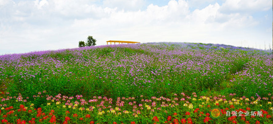 七彩田野