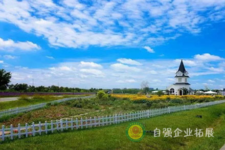 龍泉蔚然花海拓展基地