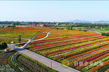 龍泉蔚然花海團(tuán)建基地