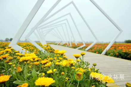 龍泉蔚然花海拓展基地