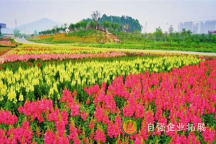 成都周邊拓展基地